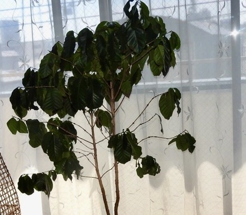 F70C3A60-1BC5-4156-B988-89115ABC1168