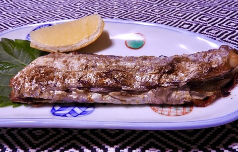 11089415-69CB-4A9B-BC0D-0A35F23CCCFE