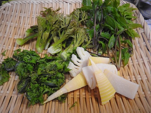 F17F9A63-31F8-4028-B15C-BEFE326DC67E