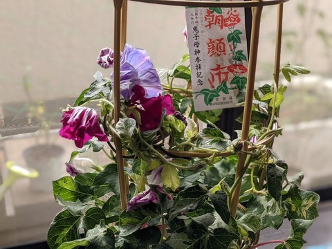 5B041C4E-5BCF-4D65-849C-F4907AAB3416