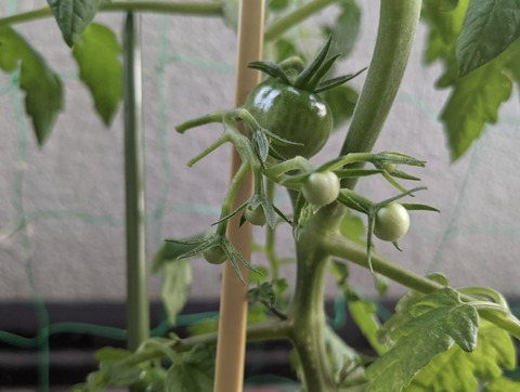 DDA72783-975A-4463-8FBA-E7A35399E5AC