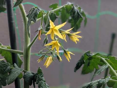 27748DF3-6701-475C-B16B-7DB06A773A5A