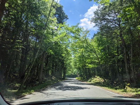 56F962D5-EDD6-47F4-B16C-0DB924597441