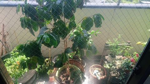 450AE7FA-2CD9-4773-9E0B-DBE92D70FBD3