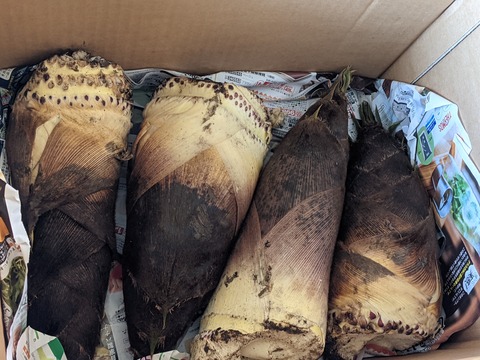 1E7E6256-2AC8-4703-8945-ADD9775E8E2C