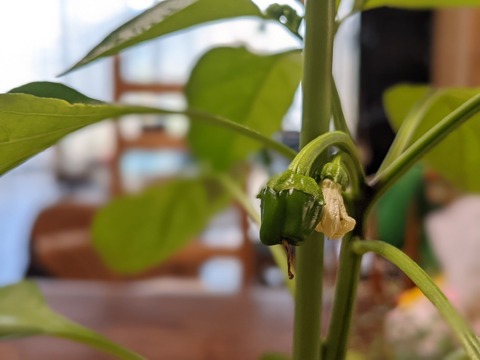 9FB5BDA2-0DE5-47F2-B90D-680EE61C581E