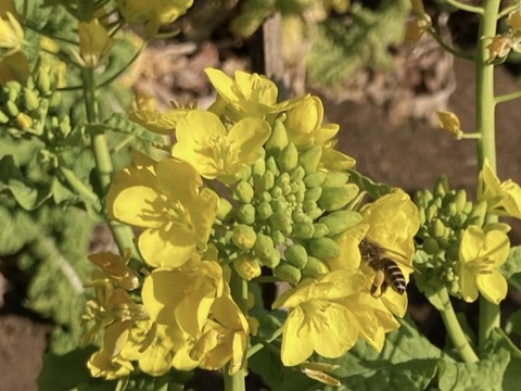 891CA9CE-E609-4DBE-96B7-02A51B92060D