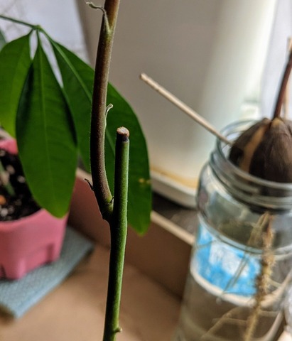 57B8EF25-E186-47B1-8E94-52AEE8FA32FB