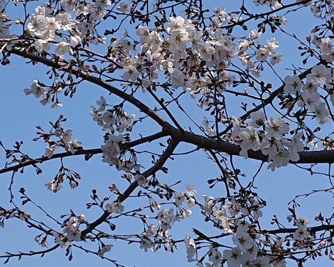 83C89574-64A6-4856-A1B7-79FEAD6677A3