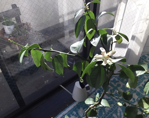 A9093838-FC93-4BA4-9E90-26E879DD6BD8