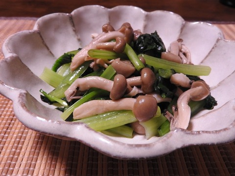 8E3E1551-AE96-4B19-AE80-62DB2DF660C0