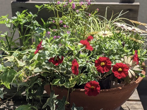 74EC393D-19A3-4D51-9735-A53DEF7B87F8