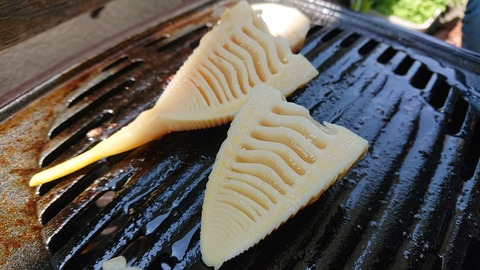 C1F8469E-D13B-43F8-A93D-BC37A3115C7D