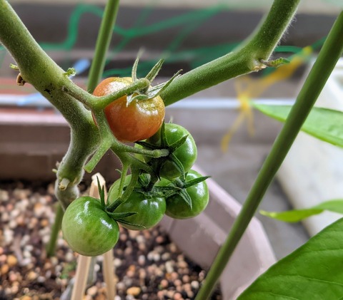 6FFA2E3E-2594-4374-9139-6D4CB6E5976A