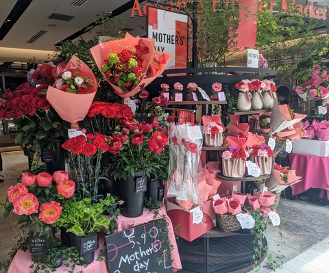 14B4E1D2-6626-4A95-81FF-F78F65509D8B