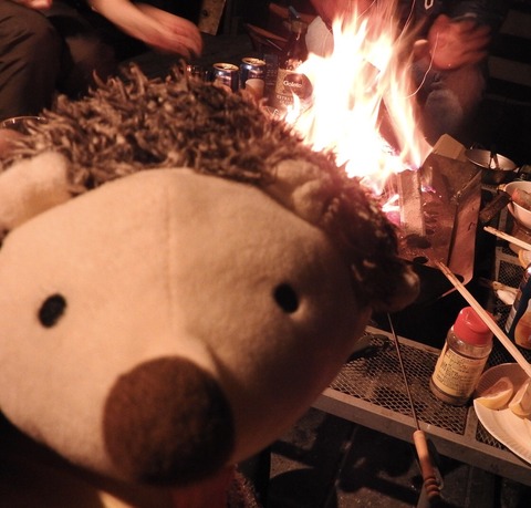 5787284B-EC99-41EF-A482-DA785F9361B4