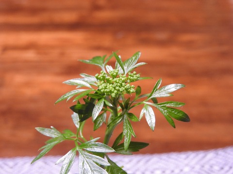 80BC89A6-B6ED-4B2F-8890-8A932D87423F