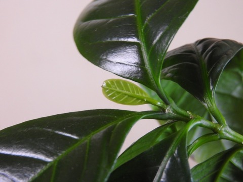 83FA8033-5E0A-4D0E-922E-5300F102930F