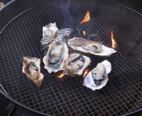 07E9EC0B-D812-4E40-B773-579E7152645B