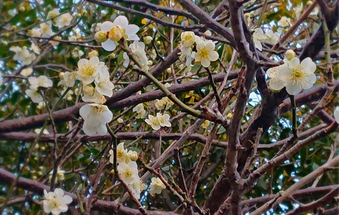 743A08FB-63C1-419F-AC93-B34630DA39DE