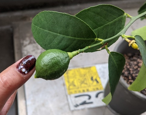 817928C7-2AA6-47FE-A59A-80F8351755DA