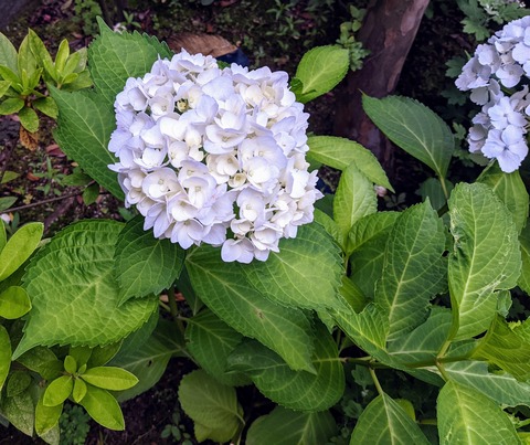 E37C5BD3-BCBD-4764-B56F-43A25DD912D2