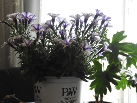 8CC448C6-7EBC-45F3-8BB9-F643F203B9BA