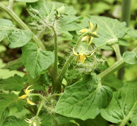 C35F966A-8421-4A0C-8E6B-CF793FDCB1B1