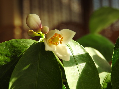 4B51BC5C-A646-447E-ACC5-62DD29220BCE