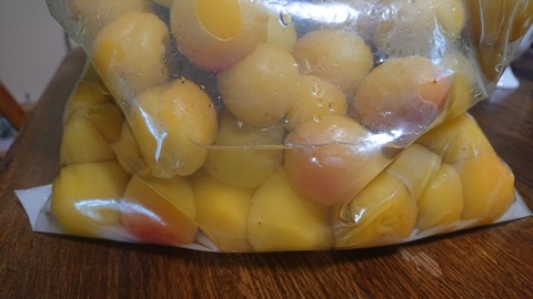 D5B35E19-61C2-491D-A65A-4CC4981C4E0F