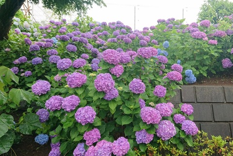 19DAF7A6-801A-4DA3-A00F-2E112265250E