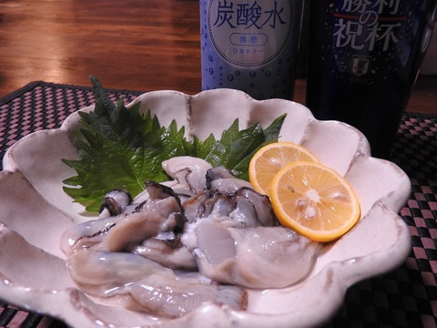 89EF6EE8-1903-4A62-BD7F-68EFB6B0C13B