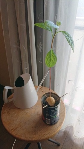 EA1982BC-057B-471F-9AD7-0E94D984269F