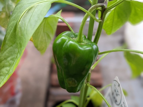 7E6B1813-DB46-479D-8863-35768FD16D57