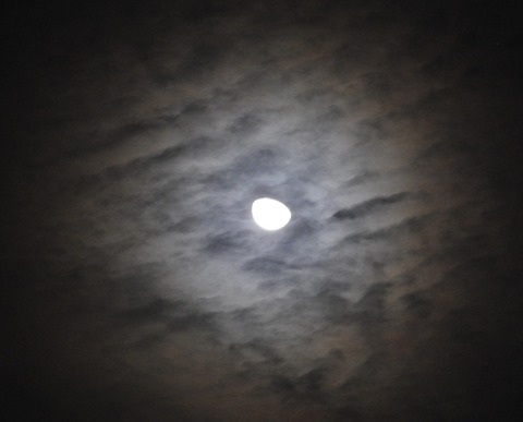 382C51AD-1802-41AA-970B-361E599670DC