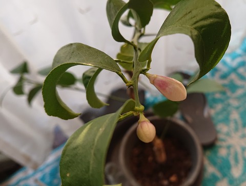 FD5D33F1-DE29-4949-B9BD-725170141660