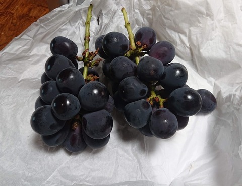 FA1D3156-7AD5-4234-A418-E0070FF23504