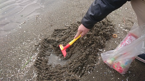 F5E53ABD-1904-4598-863A-CE32409BC961