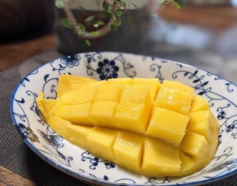 2B60EACB-FC52-4C0B-A775-39AE3E49340E