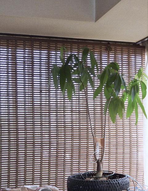 94D4D257-6094-490F-8EDD-4A5F72E08B3B