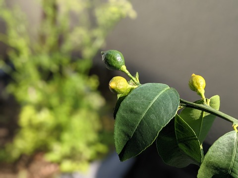 685A6B9A-A2C2-4EF6-9B04-ED0AB4D46E85