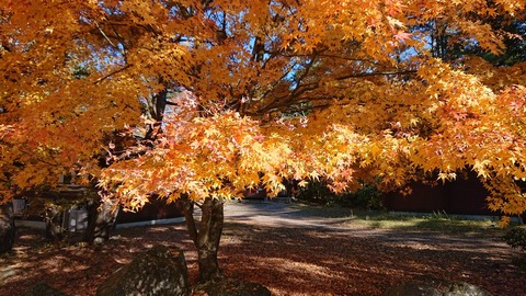 43673702-EBE3-4B67-8FC6-3D2DF1C4BA4C