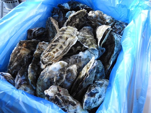 1C80213F-2DD5-451D-BC2E-730B3E714D16