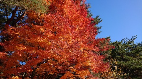 0C2640D0-5E9A-4839-84A0-A2339A89DF2C