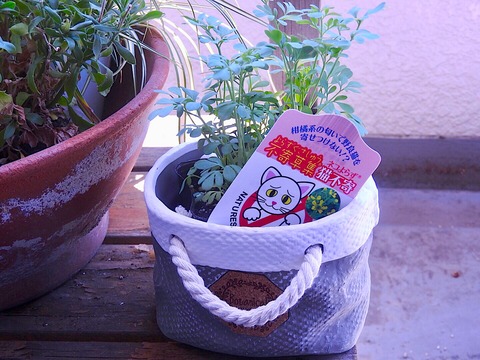 E0958BEB-DF49-46DC-884D-37F2411E5EC2