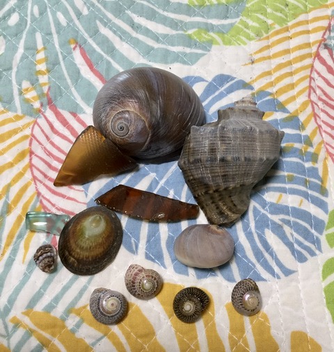 97F4AC85-8961-44E7-B27F-498408C91720