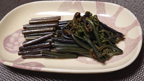 0B16C14B-D28D-4A61-8210-5083D7EA7D35