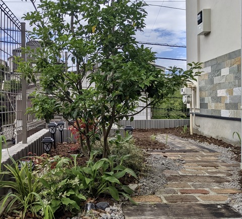 5EB4A889-33A3-4358-B526-54563EB9435C