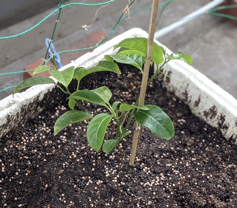 B38025F7-3186-4509-961A-974ED6208B31