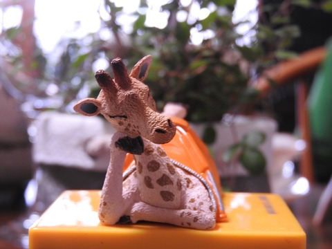 A9F24507-EAAD-45FF-9A0C-C5A486491CF4